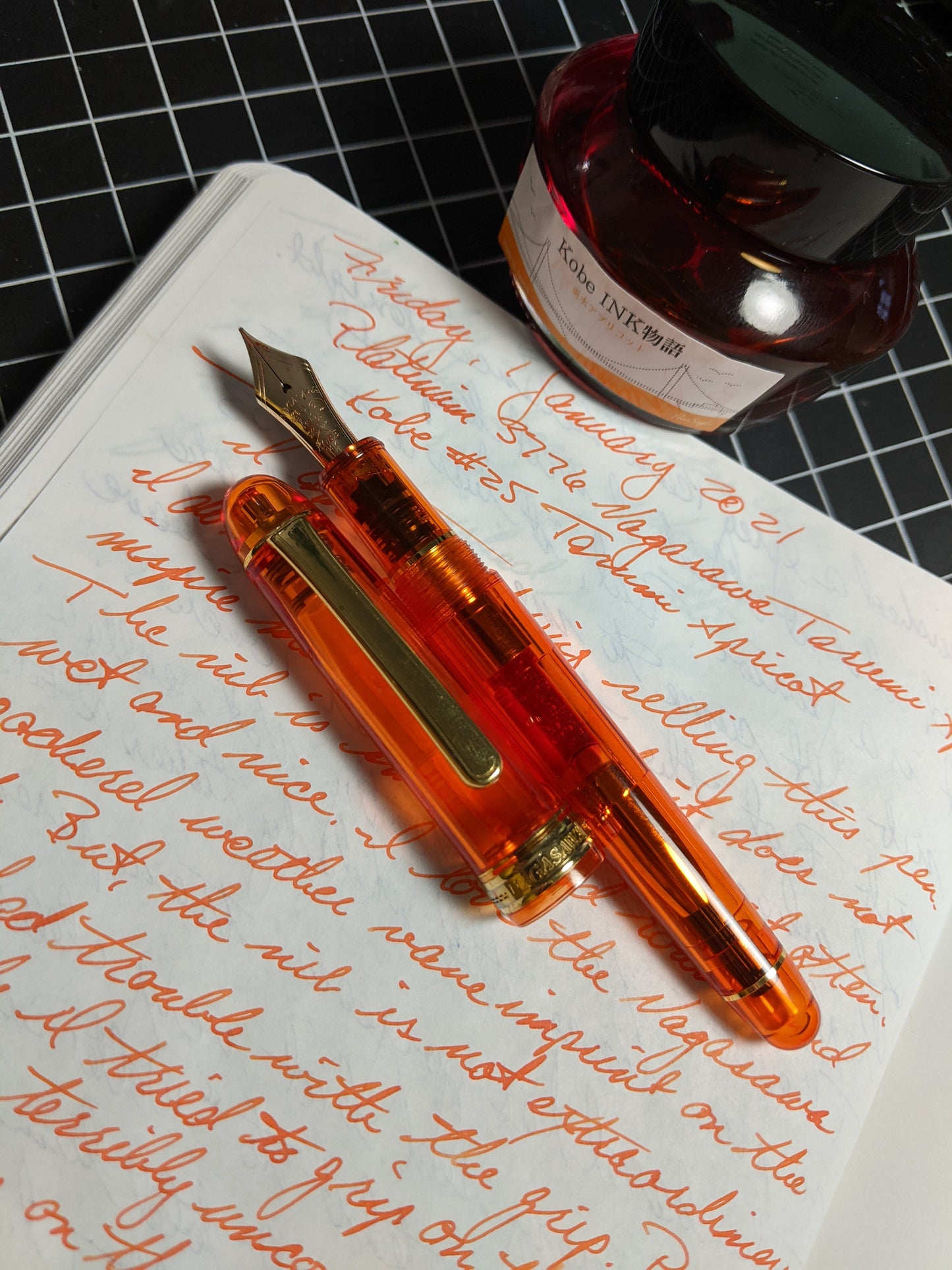 2019 Platinum 3776 Nagasawa Tarumi Apricot - medium nib