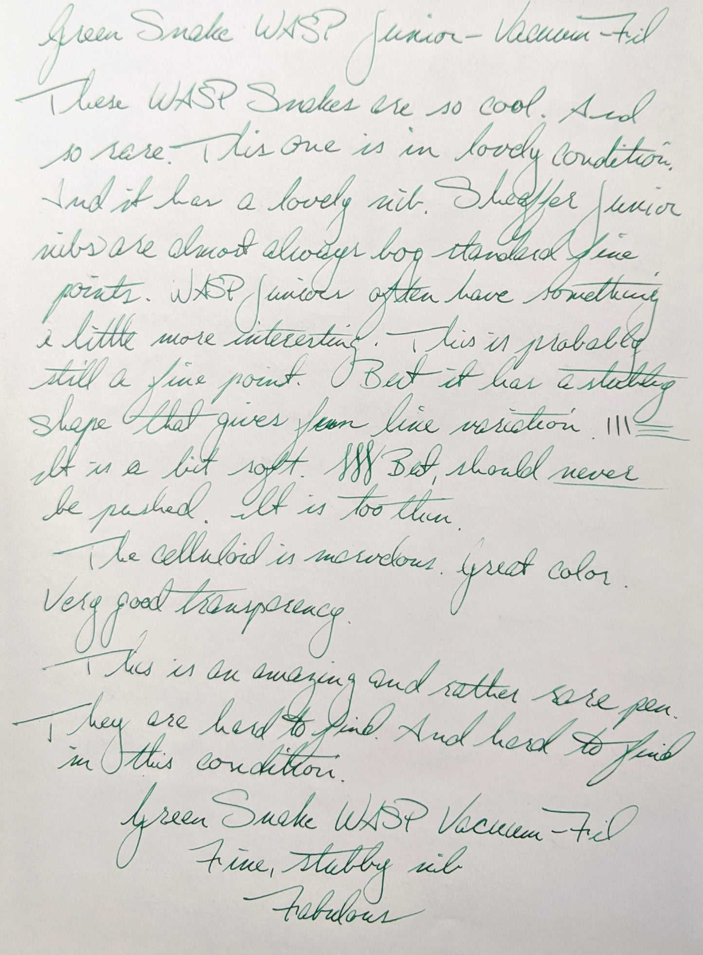 Pluma estilográfica y portaminas Green Snake WASP VACUUM-FIL de 1937